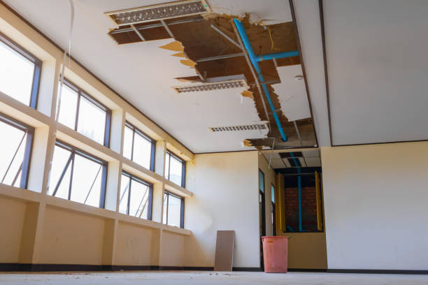Best Professional water damage repair  in Asheville, NC