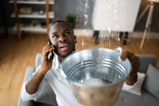 Best 24/7 water damage repair  in Asheville, NC