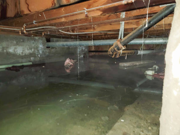 Best Water damage restoration near me  in Asheville, NC