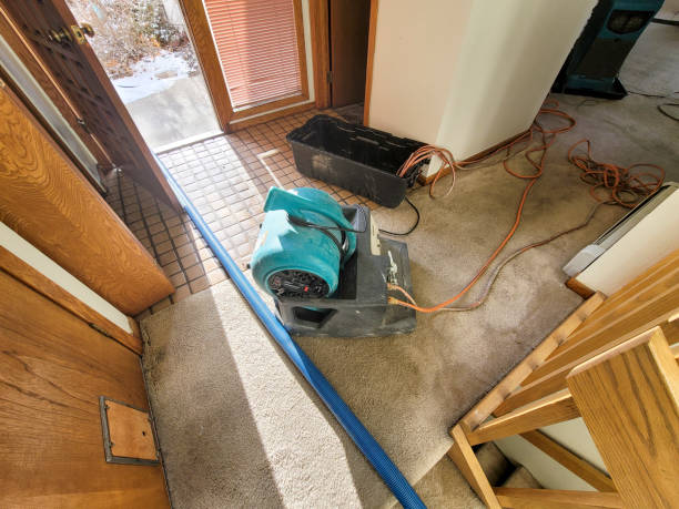 Best Local water damage restoration  in Asheville, NC