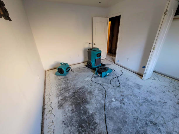 Best Mold removal after water damage  in Asheville, NC