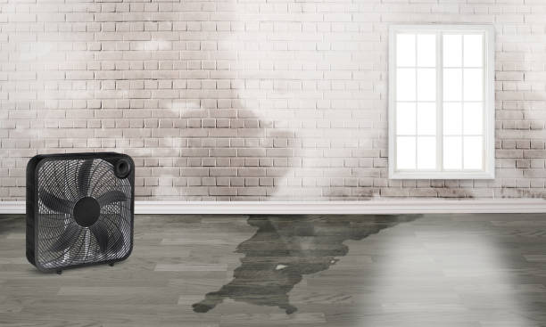 Best Fire Damage Restoration  in Asheville, NC