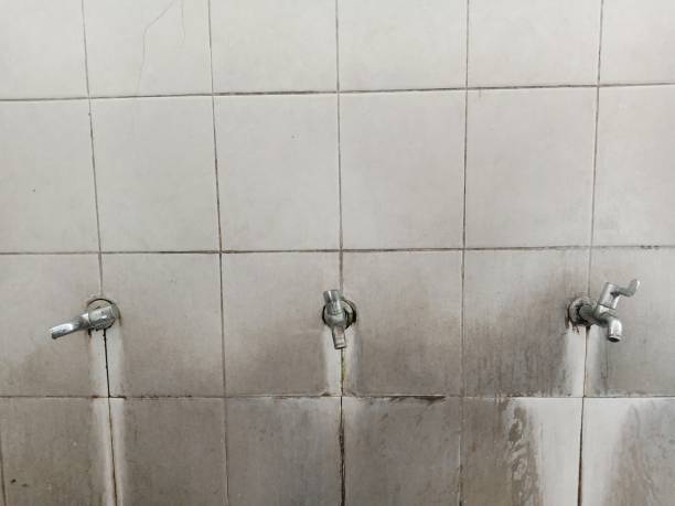 Best Water damage contractors near me  in Asheville, NC