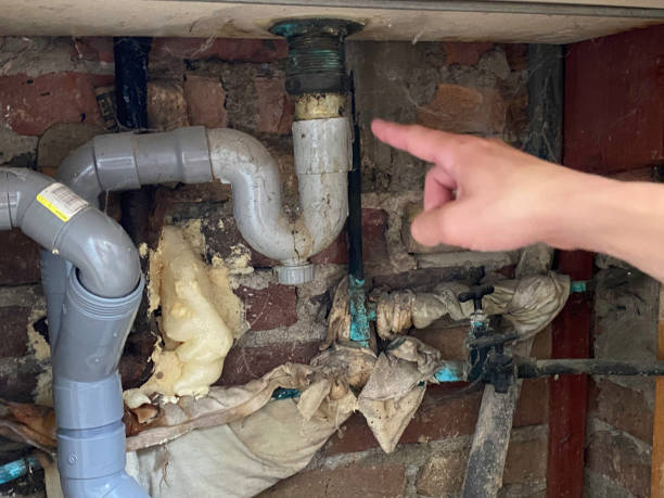 Best Mold removal after water damage  in Asheville, NC
